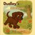 Dudley's Adventures Morning Walks and Hidden Wonders