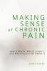 Making Sense of Chronic Pain