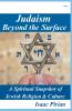 Judaism - Beyond The Surface A Spiritual Snapshot of Jewish Religion & Culture