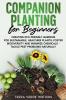 Companion Planting for Beginners