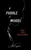A Puddle of Words
