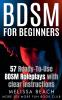 BDSM For Beginners