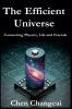 The Efficient Universe