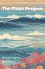 The Flash Project