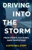 Driving Into The Storm