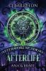 Afterlife