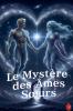 Le Mystère des Âmes Sœurs