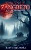 Spirits of Zangbeto