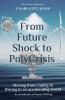 From Future Shock to PolyCrisis