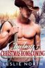 Cowboy's Christmas Homecoming
