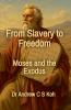 From Slavery to Freedom
