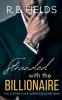 Stranded With the Billionaire