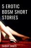 5 erotic bdsm short stories