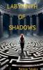 Labyrinth of Shadows