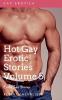 Hot Gay Erotic Stories Volume 5 - Gay Erotica- Erotic Sex Stories