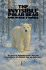 The Invisible Polar Bear and Other Stories