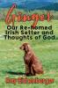 Ginger- Our Re-homed Irish Setter and Thoughts of God