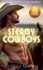 Steamy Cowboys
