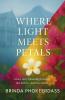 Where Light Meets Petals