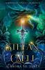 Stefan of Caeli - A Medieval Fantasy Romance