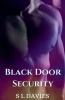 Black Door Security