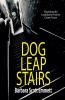 Dog Leap Stairs