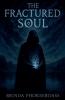 The Fractured Soul