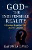 God - The Indefensible Reality   A Cosmic Roast of the Unseen Creator