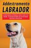 Addestramento Labrador