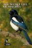 The Secret Life of Magpies
