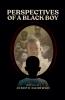 Perspectives of a Black Boy