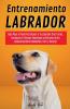 Entrenamiento Labrador