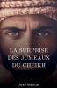 La surprise des jumeaux du Cheikh