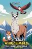 The Llama Who Climbed the Lonely Mountain