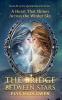 The Bridge Between Stars