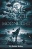 Wolf Beneath the Moonlight