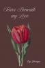 Tears Beneath My Love