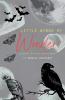 Little Wings of Wonder