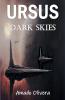 Dark Skies