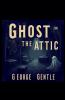 Ghost in the Attic