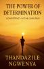 The Power of Determination  - Consistency in the Long Run