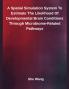 A Spatial Simulation System To Estimate The Likelihood Of Developmental Brain Conditions Through Microbiome-Related Pathways