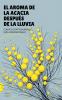 El Aroma De La Acacia Después De La Lluvia