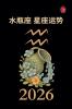 水瓶座 星座运势            2026