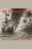 The Burning Ship