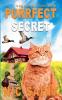 Purrfect Secret