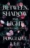 Between Shadow and Light