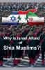 Why is Israel Afraid of Shia Muslims?
