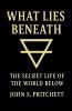 What Lies Beneath
