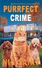 Purrfect Crime